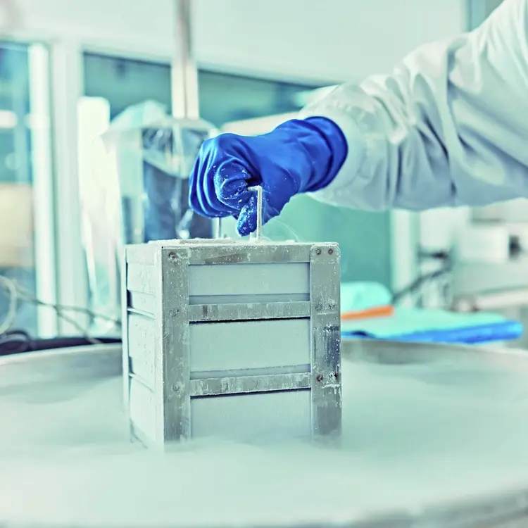 A scientist wearing blue gloves uses handle on a metallic container surrounded by vapor from liquid nitrogen, in a laboratory setting.