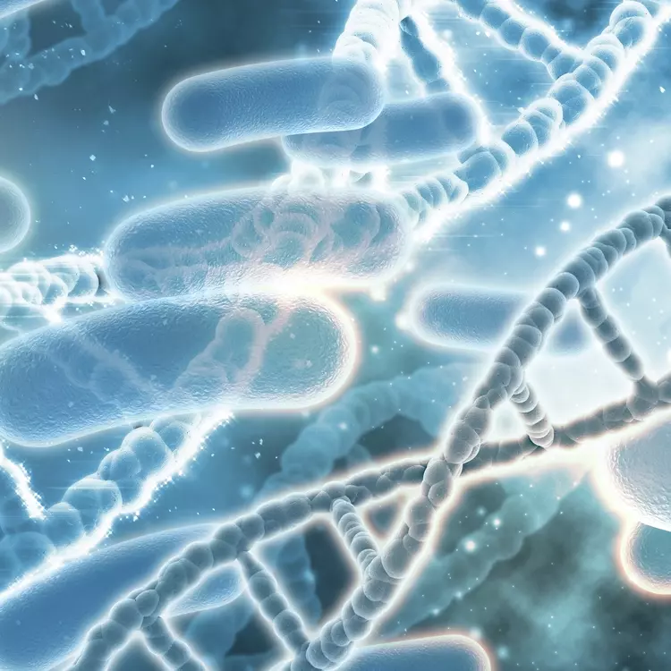 DNA rods with bacteria.