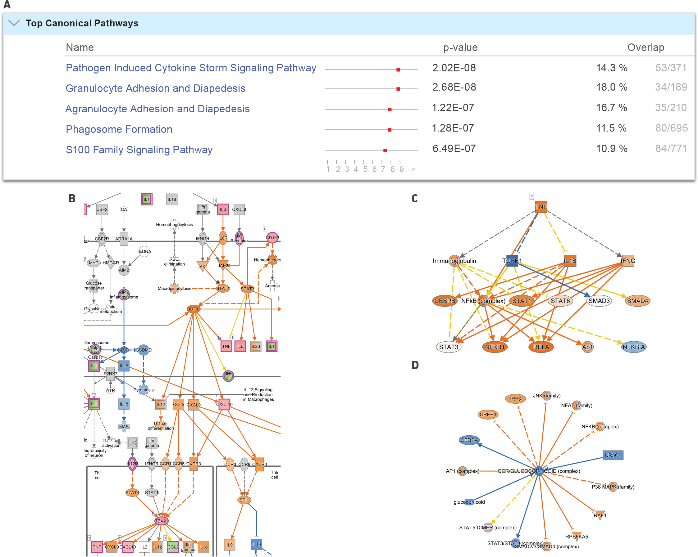 The IPA results highlight some of the key dysregulated pathways, upstream regulators, and causal networks that exert control over the expression of genes seen in our processed datasets.