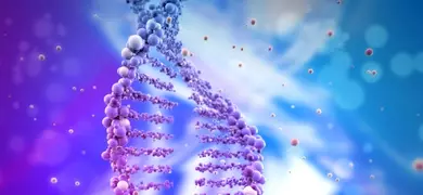 Broken DNA helix made of purple balls