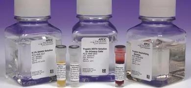 Clear capped and labeled bottles and vials containing clear and orange media, ATCC products labeled: gelatin solution; trypsin/EDTA.