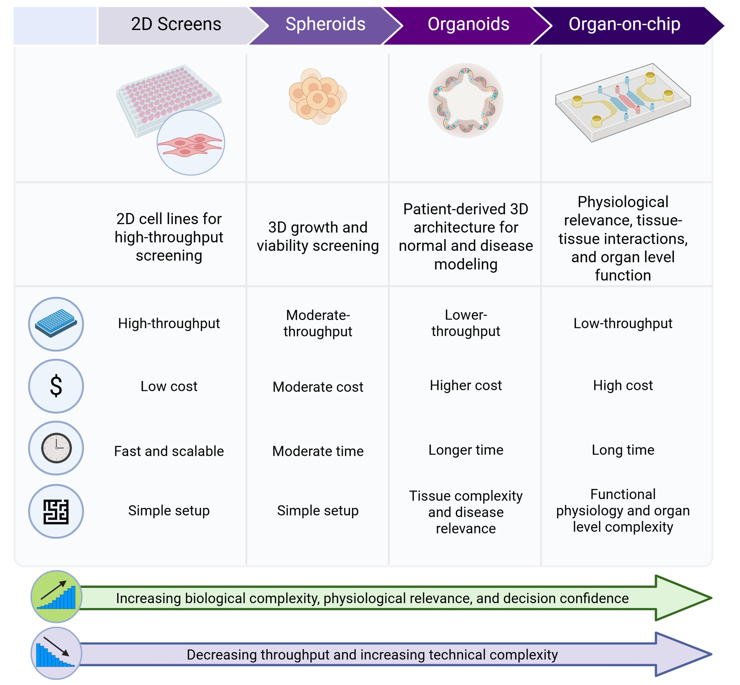 Tiered strategy for human-relevant drug development.jpg