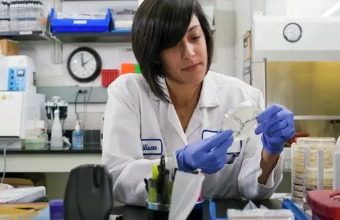 Scientist in a laboratory setting, wearing a white lab coat and blue gloves, examining a petri dish. The background includes various laboratory equipment