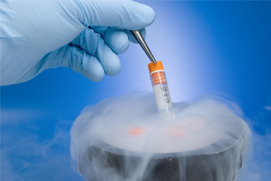 Gloved hand using tweezers to hold frozen vial above open liquid nitrogen cryopreservation tank.