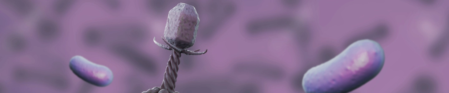Gray six-legged bacteriophage flanked by two purple, floating rods.