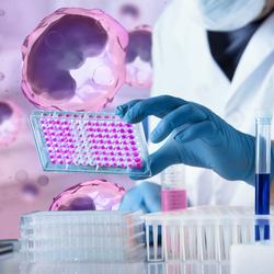 Researcher working with microplate panel for elisa analysis