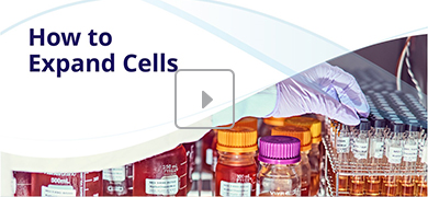 A laboratory scene with bottles and containers, some filled with liquid, arranged on shelves. A gloved hand reaches for one container, and the text "How to Expand Cells" appears on the left with a play button icon in the center.