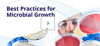 Title screen reading "Best Practices for Microbial Growth" with several petri dishes containing microbial cultures. A play button is centered, suggesting this is a video or presentation.