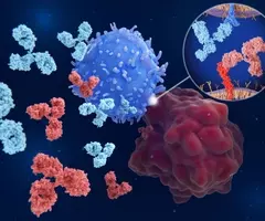Immune checkpoint inhibitors: Interaction between PD-1 (blue) on a T-cell and PD-L1 (red) on a cancer cell blocked by therapeutic antibodies