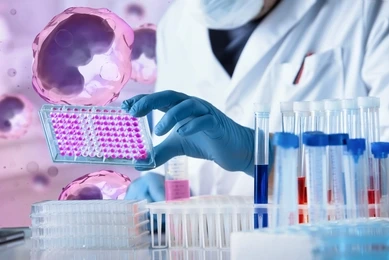 Researcher working with microplate panel for elisa analysis