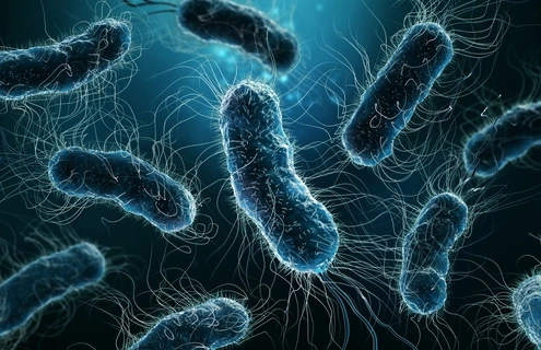 Colony of bacteria close-up 3D rendering illustration on blue background