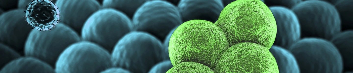 T-lymphocyte cancer cells.