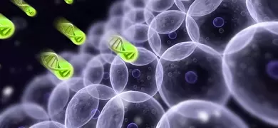 Green and purple double helix DNA.
