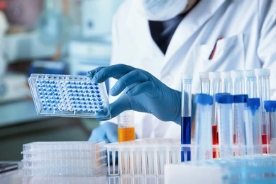 Researcher working with microplate panel for elisa analysis