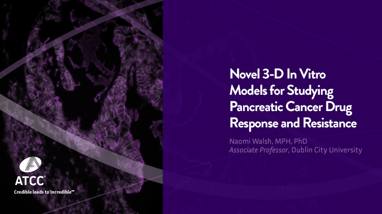 Novel 3-D In Vitro Models.jpg