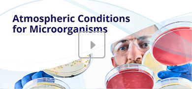 Educational video titled 'Atmospheric Conditions for Microorganisms' showing a scientist examining various petri dishes with microbial cultures.