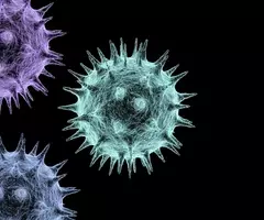Influenza.tif