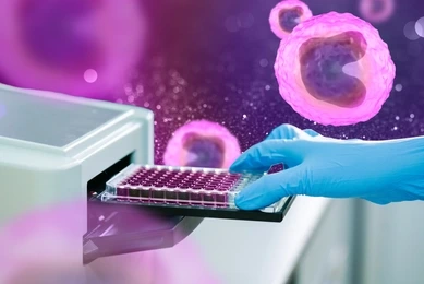 ELISA plate to measure OD with microplate reader. Microtiter plate (96 well) reader for biochemistry analysis.