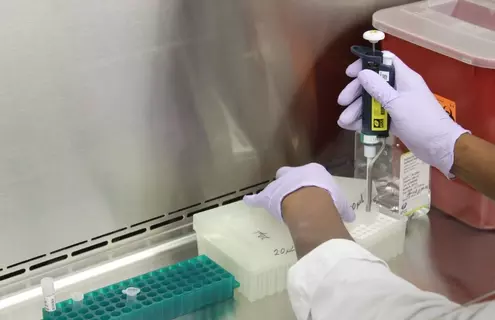 Gloved hands under a hood, filling vials with pipette, near clear bottle of saline, and red box with hazardous waste sharps container sticker.