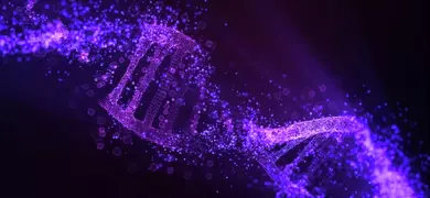 Purple, fragmented DNA double helix strand on a black background.