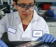 Female ATCC scientist wearing lab coat, protective glasses, and gloves handling an API strip at lab work station.