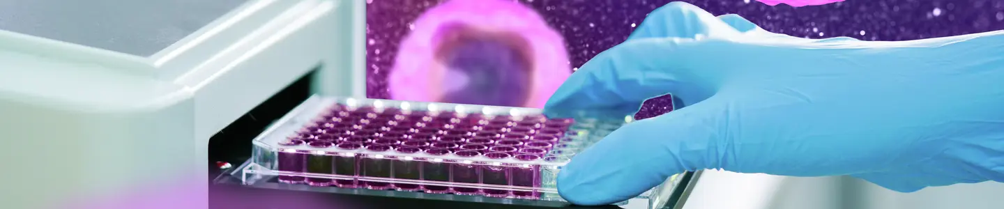 ELISA plate to measure OD with microplate reader. Microtiter plate (96 well) reader for biochemistry analysis.