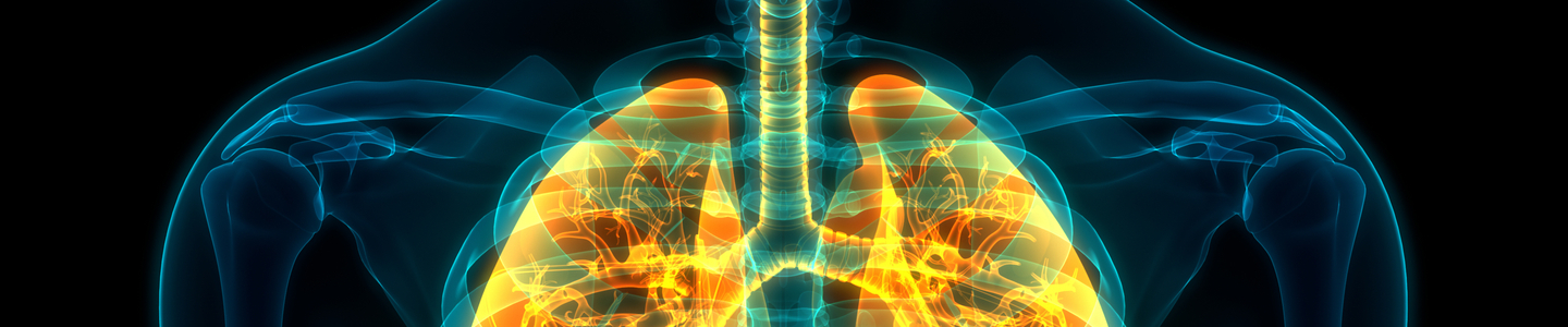 Lungs iStock-1191189866.jpg
