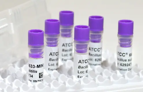 ATCC Minis in rack bacillus subtilis