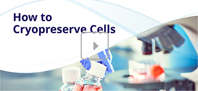 A laboratory scene with a gloved hand holding a vial of red liquid, and a microscope in the background. The text "How to Cryopreserve Cells" is displayed on the image.