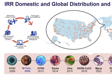 IRR Domestic and Global Distribution Infographic.jpg