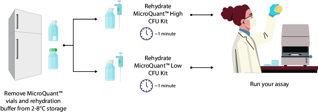 Microquant workflow