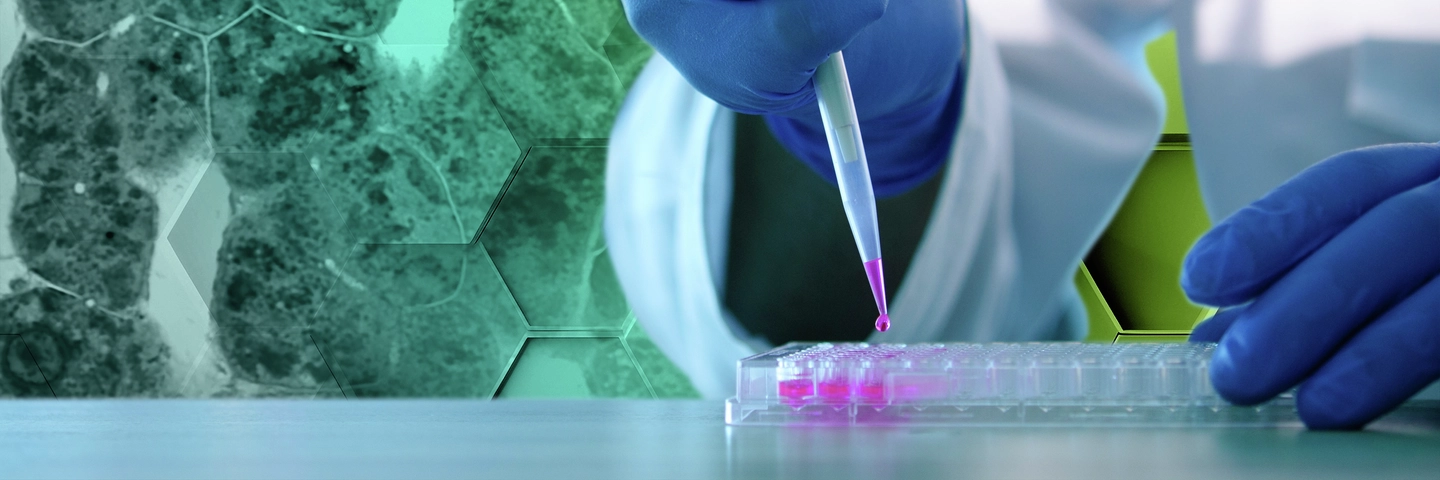 Scientist using pipette to fill well-plate