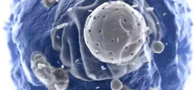 3D illustration cell in blue and grey.