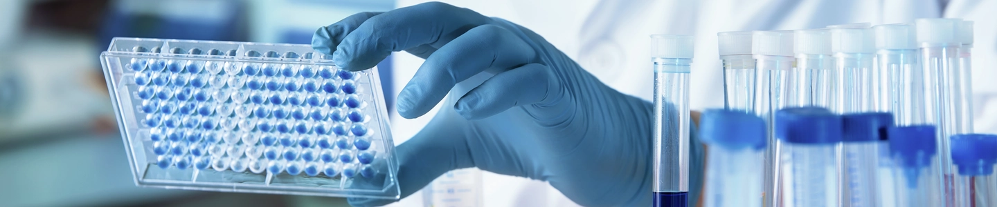 Researcher working with microplate panel for elisa analysis