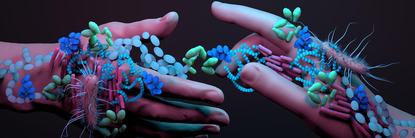 Bacteria on human hands