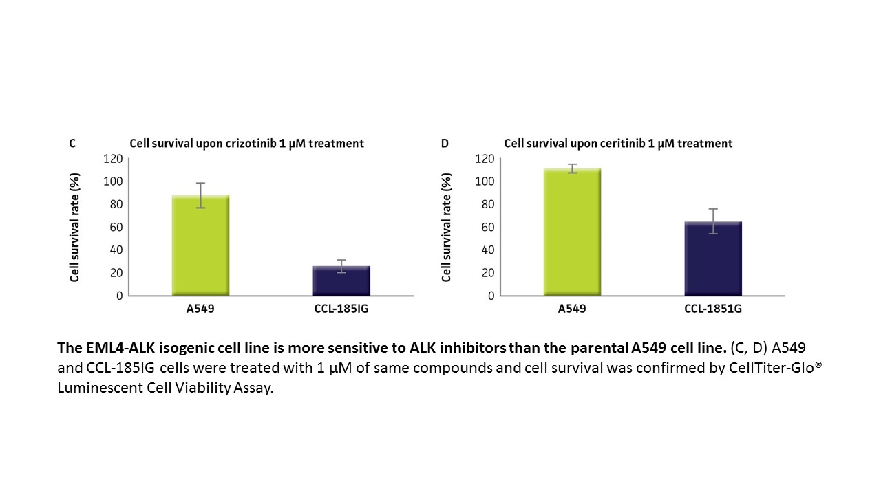 ALK Inhibitor Survival data