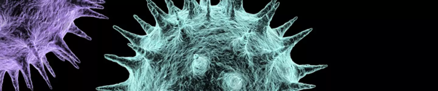 Iridescent influenza virus spheres with protruding spikes