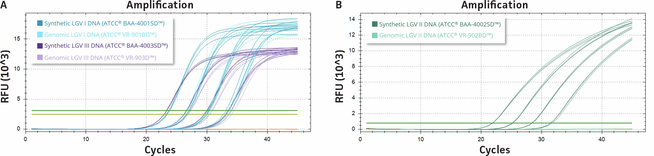 qPCR amplification plots show LGV‑specific assays, including an ompA multiplex assay and an LGV IIb–specific pmpH assay, tested with serial dilutions of synthetic and genomic Chlamydia trachomatis DNA. The results demonstrate comparable amplification performance for compatible templates, with high linearity and R² values near 1.0, while highlighting assay specificity limitations for LGV II genomic DNA.