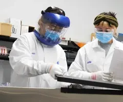  3D illustration of Fat cells or adipose cells