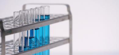 Close-up of rack of test tubes containing clear blue liquid.