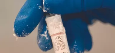 A gloved hand holds a frozen cryogenic storage cane containing labeled vials of ATCC cell samples.