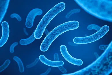 Illustration showing blue, rod‑shaped bacteria floating against a dark blue background.