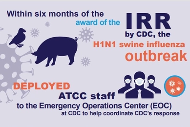 H1N1_fact infographic.jpg
