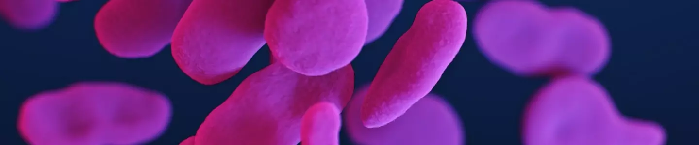 Small, bright pink flat, paddle-shaped, drug-resistant, Mycoplasma genitalium bacteria, medical illustration.