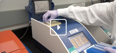 Scientist placing sample into PCR machine