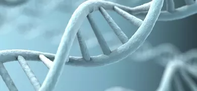 The image shows a close-up view of several DNA double helix structures. The DNA strands are depicted in a light blue color against a blurred blue background, highlighting the twisted ladder-like appearance of the double helix.