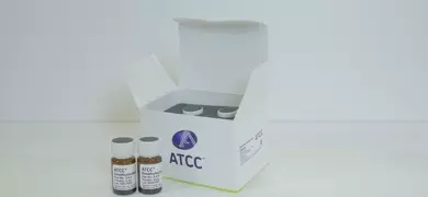 An open white box labeled "ATCC" with two small vials of Dimethylsulfoxide placed in front. Additional vials are visible inside the box.