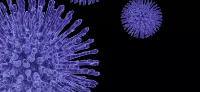 Closeup of a purple virus sphere made up of long, iridescent spikes.