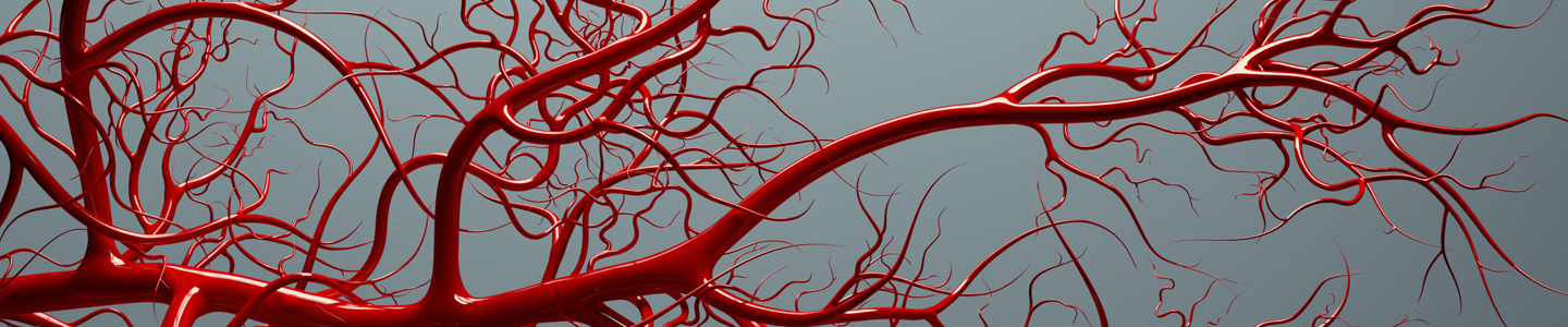 Red vascular system.