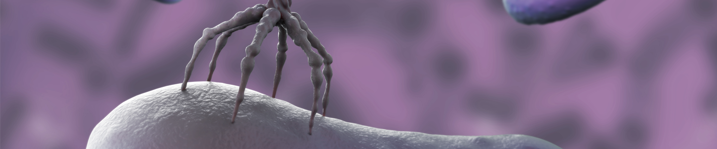 Gray six-legged bacteriophage flanked by two purple, floating rods.